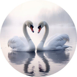 Jedlý papír dvě labutě 19,5cm - PICTURE