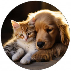 Jedlý papír pes spící s kotětěm 19,5cm