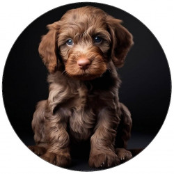 Jedlý papír štěně hnědé 19,5cm