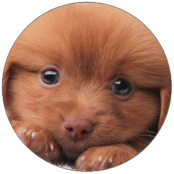 Jedlý papír štěně na polštáři 19,5 cm