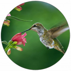 Jedlý papír lotosový květ 19,5 cm