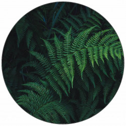 Jedlý papír lesní kapradí 19,5 cm