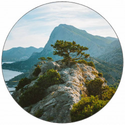 Jedlý papír strom na skále 19,5 cm