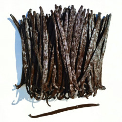 Exkluzivní vanilkový lusk z Ugandy 250g - Vanissa